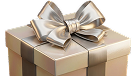 Get Bonus
